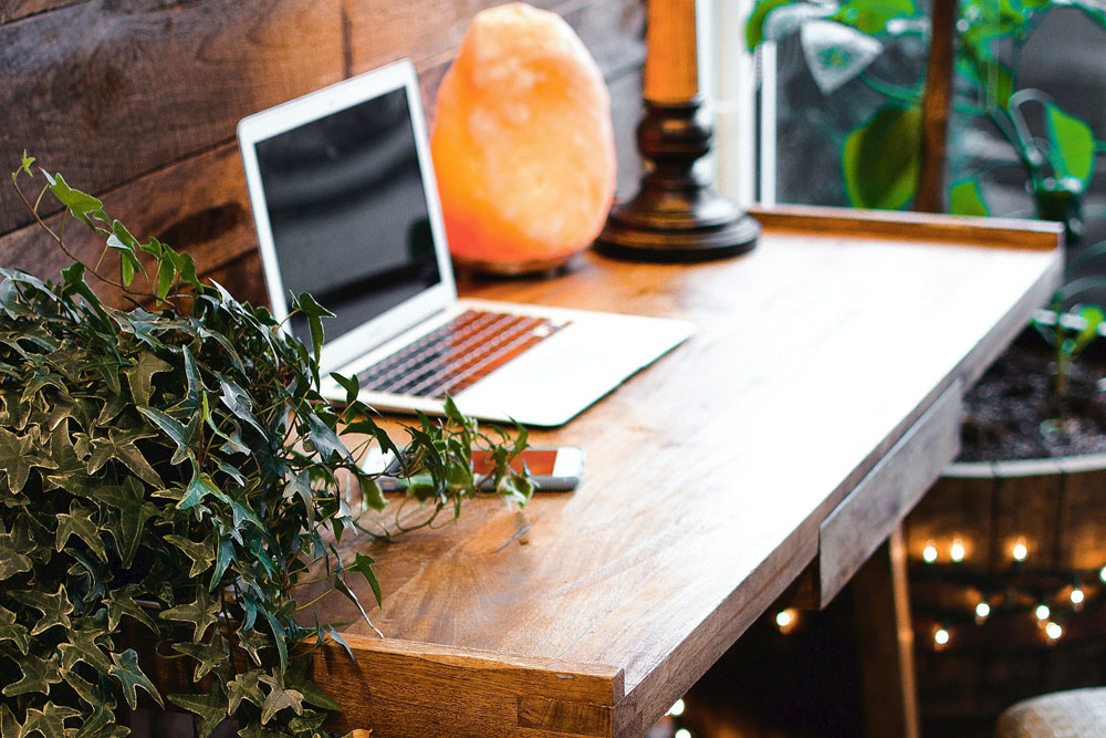 A calming workspace with plants, laptop and salt lamp